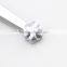 Mini Ice Tong For Bar Sugar Tong Lemon Tong Stainless Steel Food Tongs