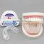 Orthodontics for tooth/teeth trainer