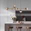 Modern Designer Glass Lamp Led Light Gold Glass Chandelier Pendant Lamp