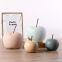 Nordic Modern Style Pink Blue Green Yellow Small Fruit Apple Decoration For Living Room