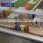 Newest architectural designs house design plastic assembly scale models stadium low cost