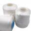 Factory Wholesale Low Shrinkage 100% nylon 6 nylon 66 polyester filament sewing thread