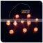 warm white 10LED iron ball light 3V indoor copper string light