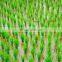 Thifluzamide enhance the efficacy and make the fog drop spread better and Improve crop quality and yield