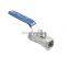 Stainless Steel BSP 1/4