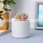 Flower Pots Mini Pottery Wholesale Bonsai Plant Small Indoor Plants Succulent Planter White Ceramic Pot