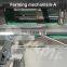 High-speed fully automatic fennel powder pouch box carton packing machine blister cartoning machine
