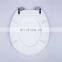 Polyresin glitter zinc alloy hinge Round Toilet Seat  polyresin toilet seat  Toilet  glittery