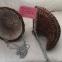 China Supplies High Quality Reddish Brown Handmade Willow Basket With Handle