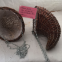 Hot Sale Large Capacity Large Size Hand Woven Willow Basket With Handle