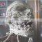 Popular Halloween Scary Party Fright Vampire Frightful Halloween Decoration