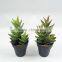 Latest design promotional items small pallet artificial plants