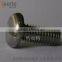 stainless steel screw with high quality