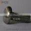 stainless steel screw high quality in best selling