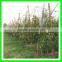 supply plastic anti hail net for apple tree