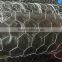 2016 new product China supplier Hexagonal wire netting