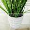 Onion Grass Artificial Mini Plant Bonsai Export from China