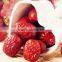 ruoqiang jujubes Dried date fruits jujube fruit