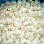 Supply IQF Frozen Garlic with high quality