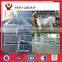 Hot Galvanized Steel cattle yard and sheep yard and horse yard
