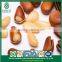 Wholesale Artificial Selection Fast Quick Food Open Pine Nuts in Shell