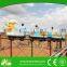 Amusement rides manufacturer China amusement ride dragon coaster for sale