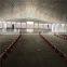 poultry chicken shed design for layer chicken farm