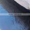 Municipal Constructions Waterproof Roof Coating