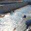New design geocomposite geomembrane for wholesales