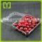wholesale fashion eco friendly pvc blister