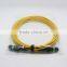 High quality SM MTP 12 cores patch cord from factory