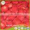 Frozen Strawberry from Asian fruits and vegetables