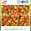 ISO 9001 Chinese for sale Best quality frozen organic mixed vegetables
