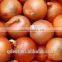 Bulk new crop chinese Fresh product yellow onion