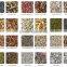 Automatic Belt Color Sorter/Cashew Nut Color Sorter/Plastic Color Sorter