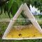 Delta trap for pest