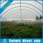 Customized commercial walk in plastic film high tunnel greeenhouse