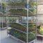 123 Seedling retail containers, Seedling European flower trolley, Seedling pot plant trolley