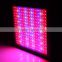 Hydrophonic Agriculture Marshydro Reflector 48 Full Spectrum LED Grow Light for Indoor Plant Commercial Greenhouse