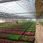 Single Span greenhouse film used in planting flowers, vegetables, fruits