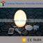 60cm illuminated inductive charging waterproof IP65 LED globle ball