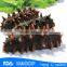HL011 wholesale frozen sea cucumber supplier with low price