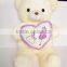 Valentine's day white teddy bear for lover