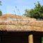 natural water reed thatch for roof thaching