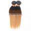 1B/4/27# Brazilian Ombre Straight Three Tone Virgin Brazilian Ombre Hair