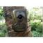 Wireless trail camera with SD card for system upgrade KO-HC01