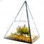 terrarium geometric glass terrarium wholesale square shape