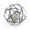 terrarium geometric glass terrarium wholesale