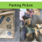 Fiber-Reinforced, Non-Shrink, Professional Repair Mortar