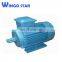lightweight electric motor